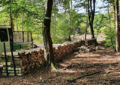 Photo illustrant la vente de bois de chauffage par Martinent Paysage.