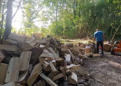 Photo illustrant la vente de bois de chauffage par Martinent Paysage.